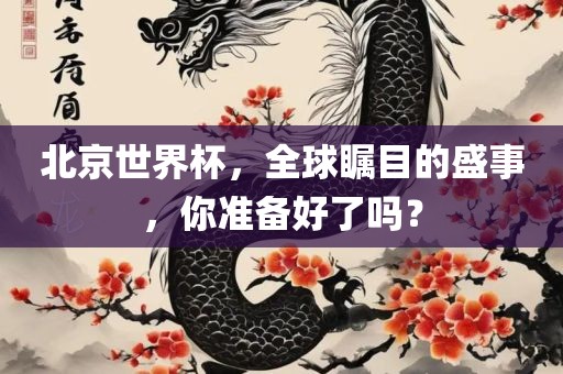北京世界杯，全球瞩目的盛事，你准备好了吗？