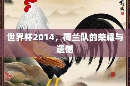 世界杯2014，荷兰队的荣耀与遗憾