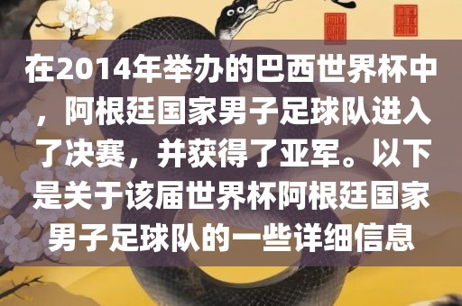 在2014年举办的巴西世界杯中，阿根廷国家男子足球队进入了决赛，并获得了亚军。以下是关于该届世界杯阿根廷国家男子足球队的一些详细信息
