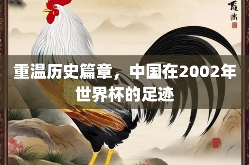 重温历史篇章，中国在2002年世界杯的足迹