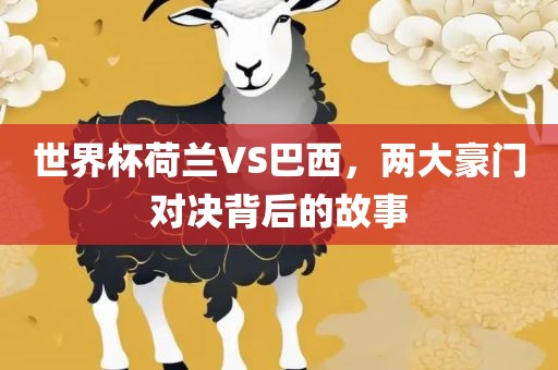 世界杯荷兰VS巴西，两大豪门对决背后的故事