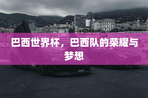 巴西世界杯，巴西队的荣耀与梦想