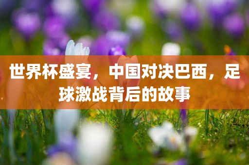 世界杯盛宴，中国对决巴西，足球激战背后的故事