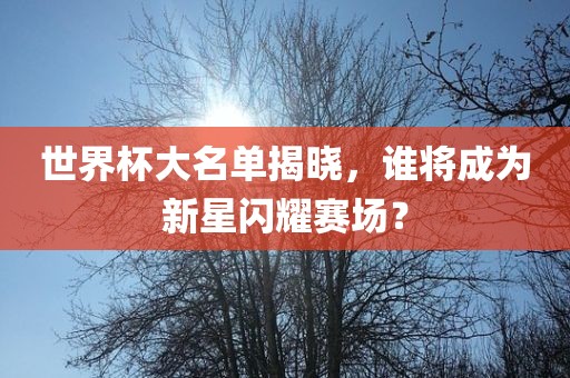 世界杯大名单揭晓，谁将成为新星闪耀赛场？