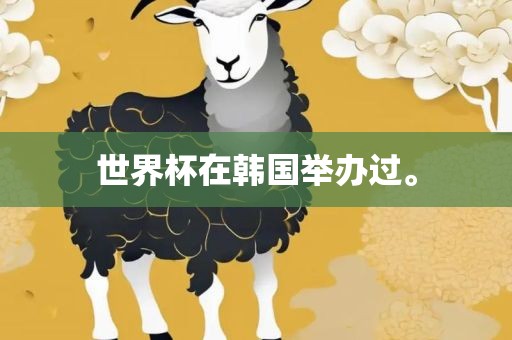 世界杯在韩国举办过。