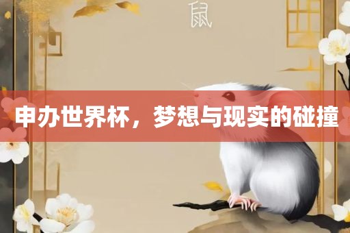 申办世界杯，梦想与现实的碰撞