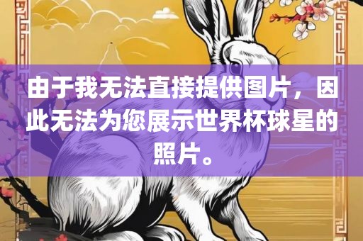 由于我无法直接提供图片，因此无法为您展示世界杯球星的照片。