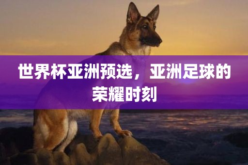 世界杯亚洲预选，亚洲足球的荣耀时刻