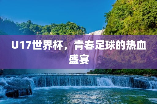 U17世界杯，青春足球的热血盛宴