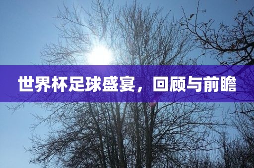世界杯足球盛宴，回顾与前瞻