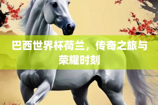 巴西世界杯荷兰，传奇之旅与荣耀时刻