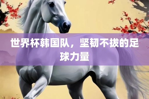 世界杯韩国队，坚韧不拔的足球力量