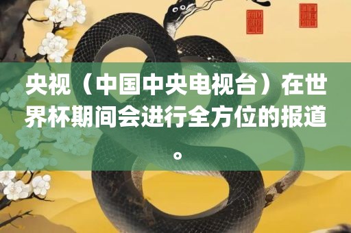 央视（中国中央电视台）在世界杯期间会进行全方位的报道。