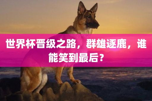 世界杯晋级之路，群雄逐鹿，谁能笑到最后？