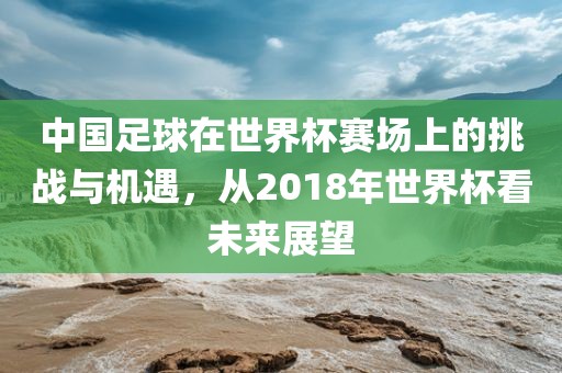 中国足球在世界杯赛场上的挑战与机遇，从2018年世界杯看未来展望
