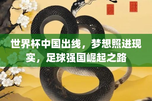 世界杯中国出线，梦想照进现实，足球强国崛起之路