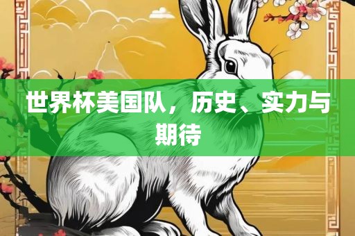 世界杯美国队，历史、实力与期待