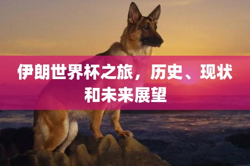 伊朗世界杯之旅，历史、现状和未来展望