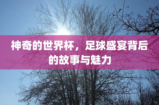 神奇的世界杯，足球盛宴背后的故事与魅力