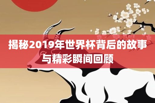 揭秘2019年世界杯背后的故事与精彩瞬间回顾眉山市正发家政服务有限公司