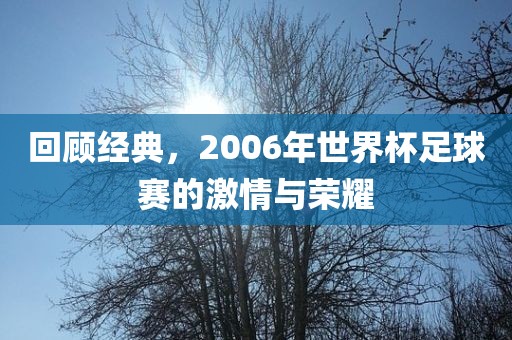 回顾经典，2006年世界杯足球赛的激情与荣耀