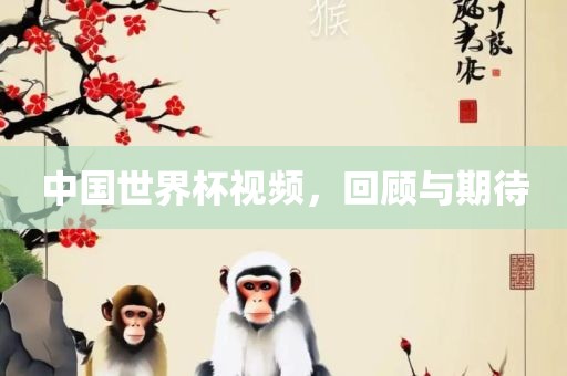 中国世界杯视频，回顾与期待