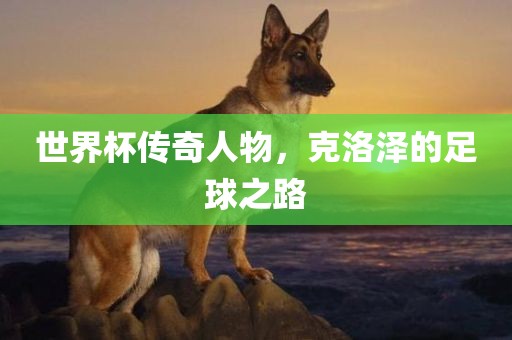 世界杯传奇人物，克洛泽的足球之路