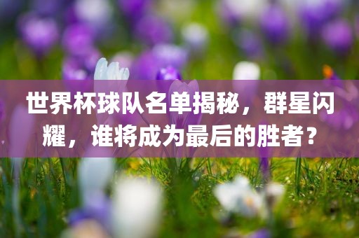 世界杯球队名单揭秘，群星闪耀，谁将成为最后的胜者？