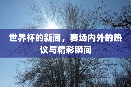 世界杯的新闻，赛场内外的热议与精彩瞬间