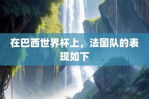 在巴西世界杯上，法国队的表现如下