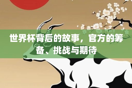 世界杯背后的故事，官方的筹备、挑战与期待