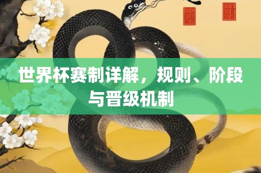 世界杯赛制详解，规则、阶段与晋级机制
