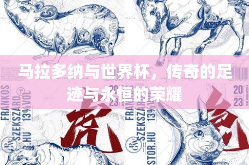 马拉多纳与世界杯，传奇的足迹与永恒的荣耀