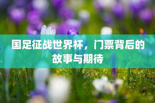 国足征战世界杯，门票背后的故事与期待