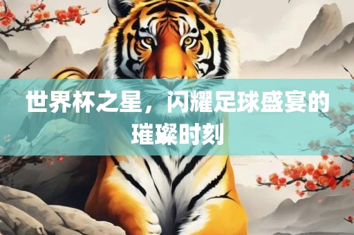 世界杯之星，闪耀足球盛宴的璀璨时刻
