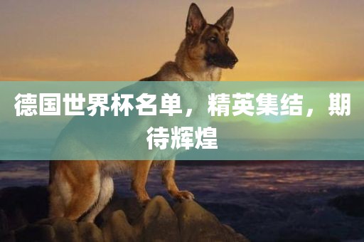 德国世界杯名单，精英集结，期待辉煌