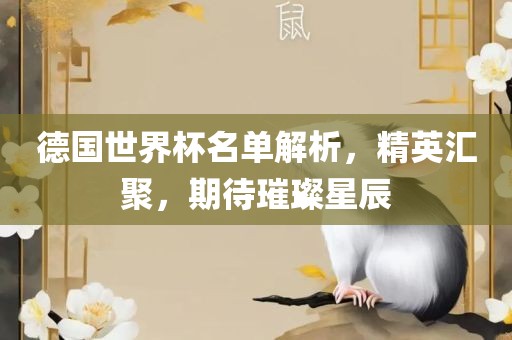 德国世界杯名单解析，精英汇聚，期待璀璨星辰