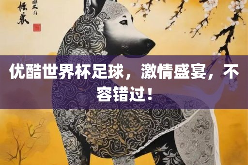 优酷世界杯足球，激情盛宴，不容错过！