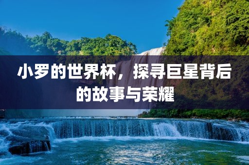 小罗的世界杯，探寻巨星背后的故事与荣耀