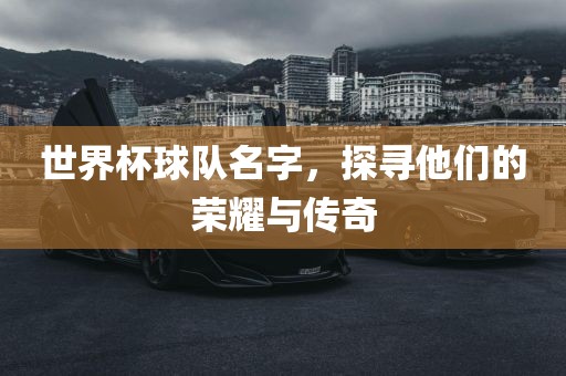 世界杯球队名字，探寻他们的荣耀与传奇