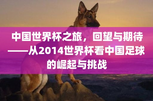 中国世界杯之旅，回望与期待——从2014世界杯看中国足球的崛起与挑战
