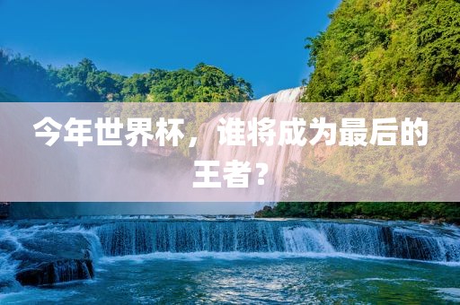 今年世界杯，眉山市正发家政服务有限公司谁将成为最后的王者？