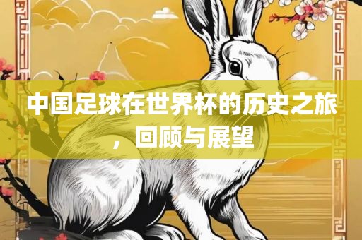 中国足球在世界杯的历史之旅，回顾与展望