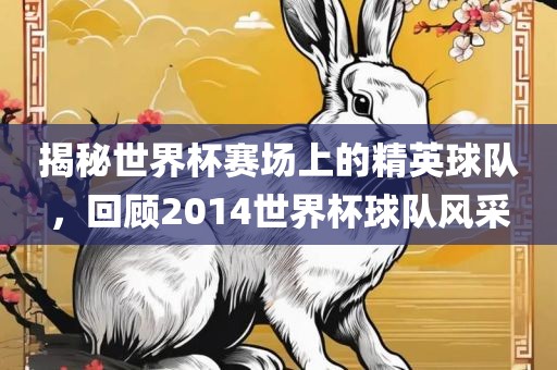 揭秘世界杯赛场上的精英球队，回顾2014世界杯球队风采