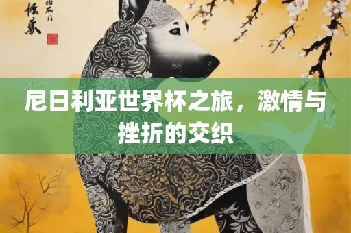 尼日利亚世界杯之旅，激情与挫折的交织