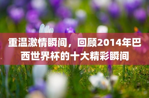 重温激情瞬间，回顾2014年巴西世界杯的十大精彩瞬间