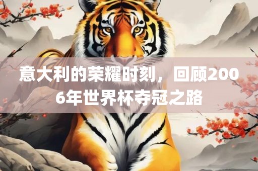意大利的荣耀时刻，回顾2006年世界杯夺冠之路