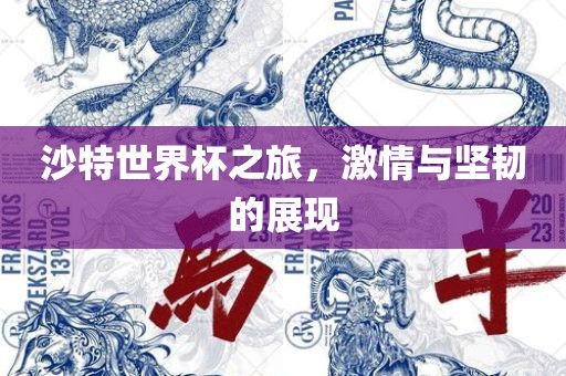 沙特世界杯之旅，激情与坚韧的展现