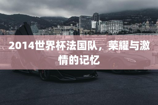 2014世界杯法国队，荣耀与激情的记忆