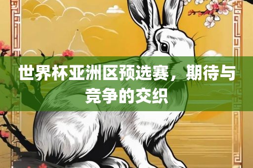 世界杯亚洲区预选赛，期待与竞争的交织